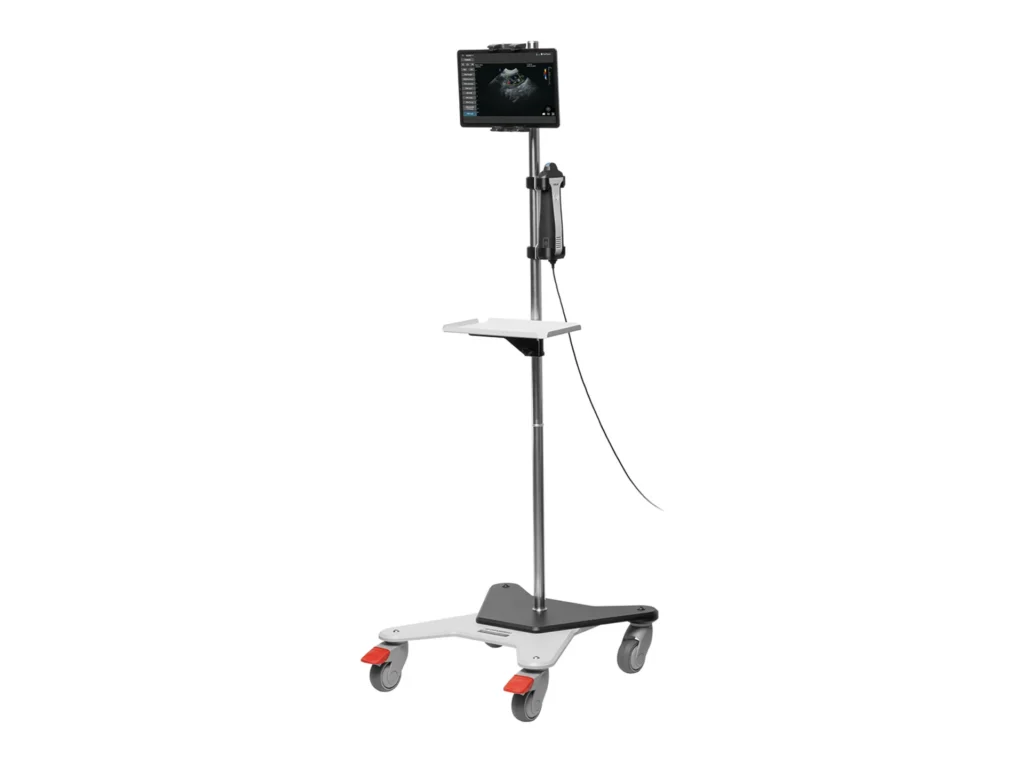 Supporto ASUS per sonde ecografiche veterinarie wireless