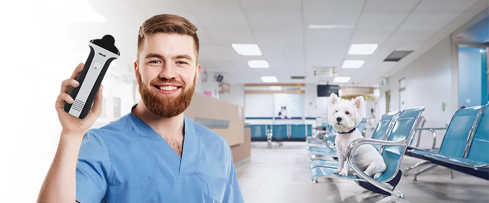 Sonde ecografiche veterinarie wireless ASUS Dramiński – vista principale