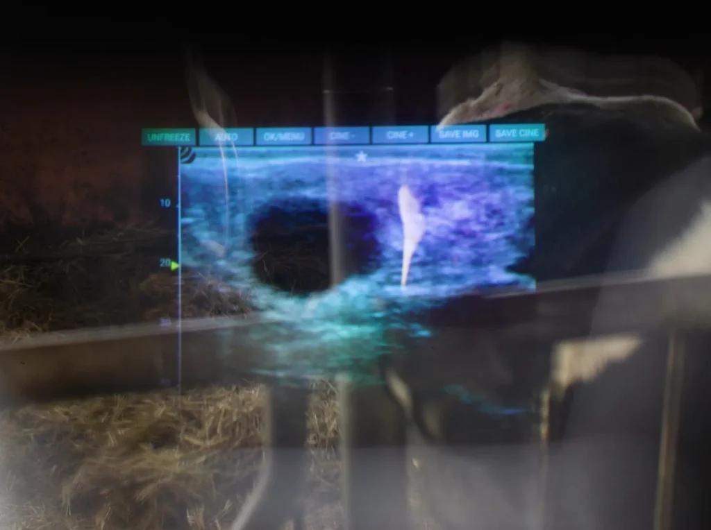 iLens Dramiński – trasmissione fluida delle immagini ecografiche senza fili